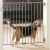 Savic Dog Barrier Dog Gate Indoor 1